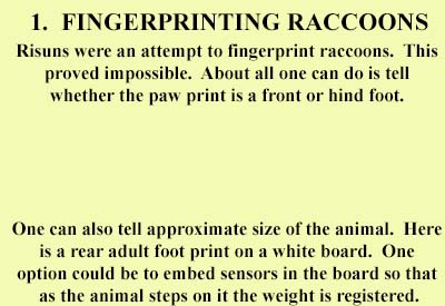 Fingerprinting Raccoons